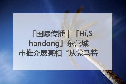 国际传播｜「Hi,Shandong」东营城市推介展亮相“从蒙马特到加里波第”文化节