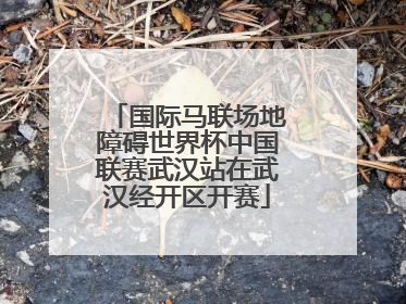 国际马联场地障碍世界杯中国联赛武汉站在武汉经开区开赛