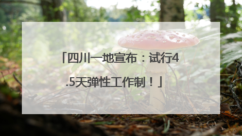 四川一地宣布：试行4.5天弹性工作制！