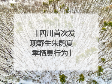 四川首次发现野生朱鹮夏季栖息行为