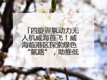 四旋翼氢动力无人机威海首飞！威海临港区探索绿色“氢路”，助推低空经济向长续航、大载重“进化”