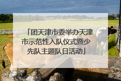 团天津市委举办天津市示范性入队仪式暨少先队主题队日活动
