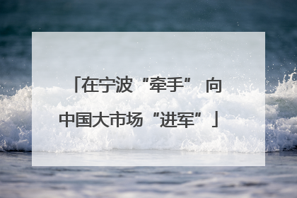 在宁波“牵手” 向中国大市场“进军”