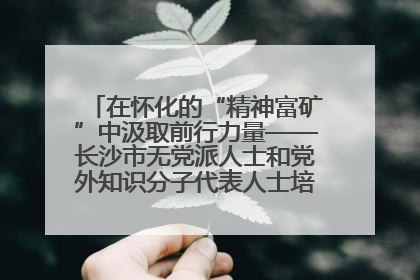 在怀化的“精神富矿”中汲取前行力量——长沙市无党派人士和党外知识分子代表人士培训班在怀化圆满举办