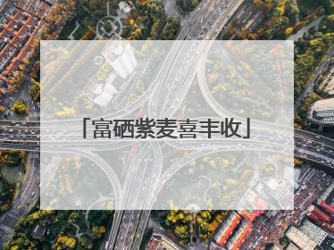 富硒紫麦喜丰收