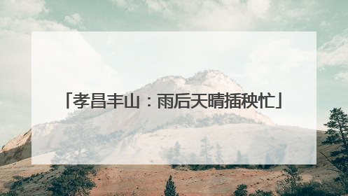 孝昌丰山：雨后天晴插秧忙