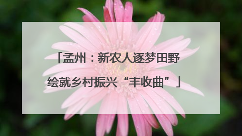孟州：新农人逐梦田野 绘就乡村振兴“丰收曲”