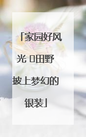 家园好风光 ⎮田野披上梦幻的银装