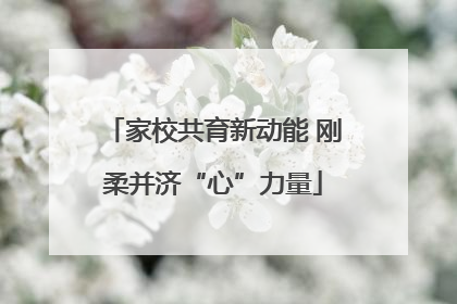 家校共育新动能 刚柔并济“心”力量