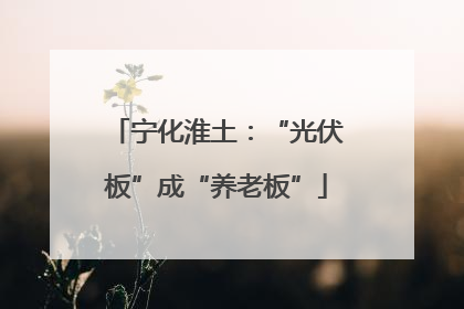 宁化淮土：“光伏板”成“养老板”