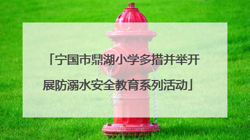 宁国市鼎湖小学多措并举开展防溺水安全教育系列活动
