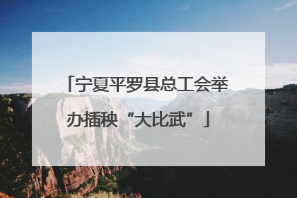 宁夏平罗县总工会举办插秧“大比武”