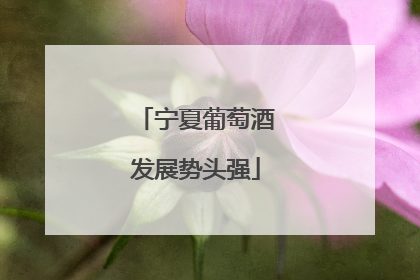 宁夏葡萄酒发展势头强