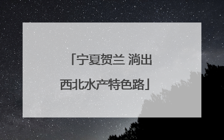宁夏贺兰 淌出西北水产特色路