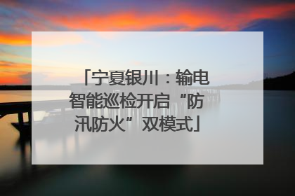 宁夏银川：输电智能巡检开启“防汛防火”双模式