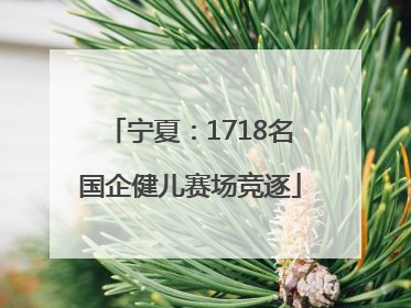 宁夏：1718名国企健儿赛场竞逐