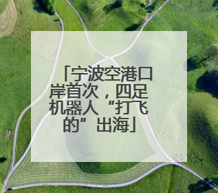 宁波空港口岸首次，四足机器人“打飞的”出海