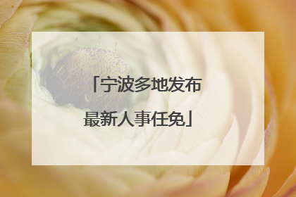 宁波多地发布最新人事任免