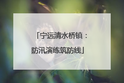 宁远清水桥镇：防汛演练筑防线