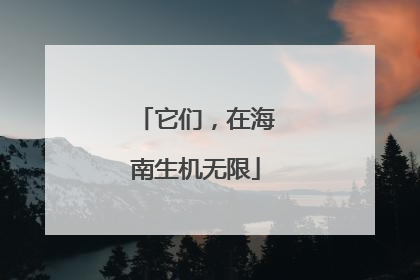 它们，在海南生机无限