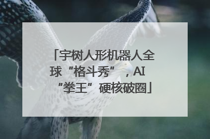 宇树人形机器人全球“格斗秀”，AI“拳王”硬核破圈