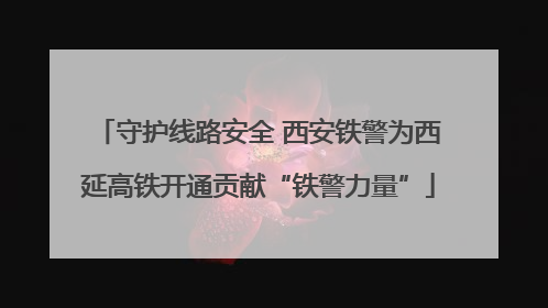 守护线路安全 西安铁警为西延高铁开通贡献“铁警力量”