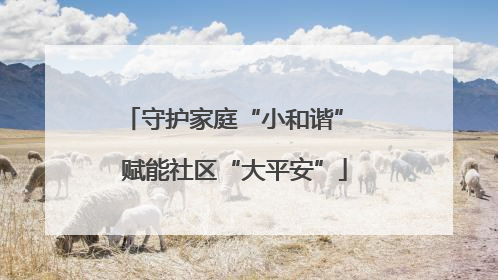 守护家庭“小和谐” 赋能社区“大平安”