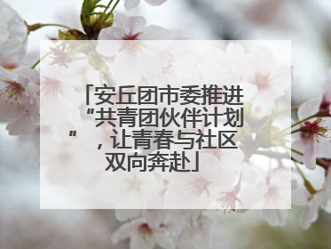 安丘团市委推进“共青团伙伴计划”，让青春与社区双向奔赴