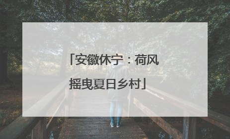 安徽休宁：荷风摇曳夏日乡村