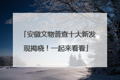 安徽文物普查十大新发现揭晓！一起来看看