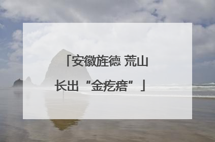 安徽旌德 荒山长出“金疙瘩”
