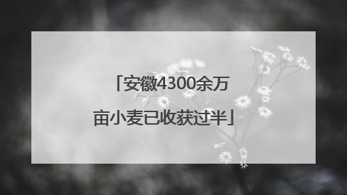安徽4300余万亩小麦已收获过半