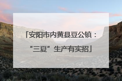 安阳市内黄县豆公镇：“三夏”生产有实招