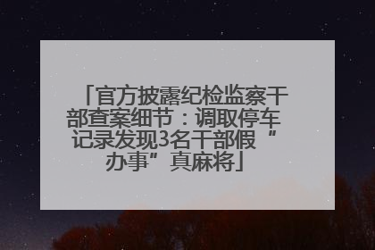 官方披露纪检监察干部查案细节：调取停车记录发现3名干部假“办事”真麻将