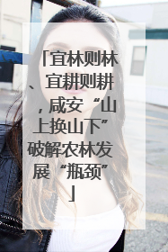 宜林则林、宜耕则耕，咸安“山上换山下”破解农林发展“瓶颈”