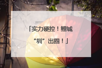 实力硬控！鲤城“圳”出圈！
