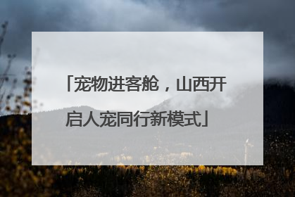 宠物进客舱，山西开启人宠同行新模式