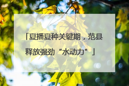 夏播夏种关键期，范县释放强劲“水动力”
