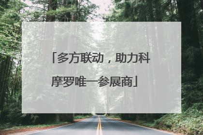 多方联动，助力科摩罗唯一参展商