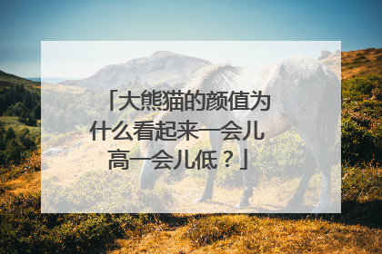 大熊猫的颜值为什么看起来一会儿高一会儿低？