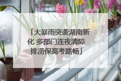 大暴雨突袭湖南新化 多部门连夜清障排涝保高考路畅