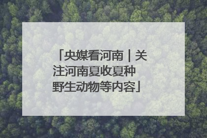 央媒看河南｜关注河南夏收夏种 野生动物等内容