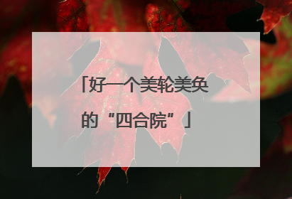 好一个美轮美奂的“四合院”