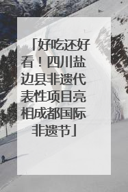 好吃还好看！四川盐边县非遗代表性项目亮相成都国际非遗节
