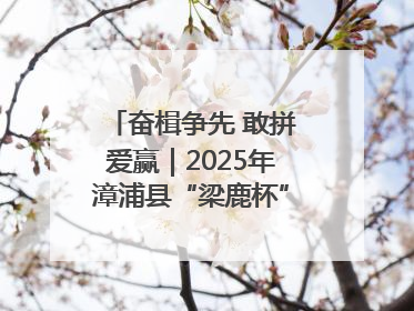 奋楫争先 敢拼爱赢｜2025年漳浦县“梁鹿杯”龙舟赛圆满举行