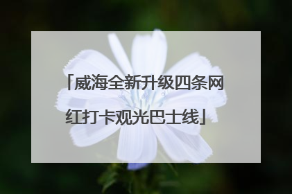 威海全新升级四条网红打卡观光巴士线