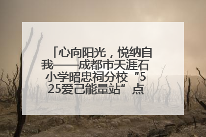 心向阳光,悦纳自我——成都市天涯石小学昭忠祠分校“525爱己能量站”点亮孩子心灵之旅
