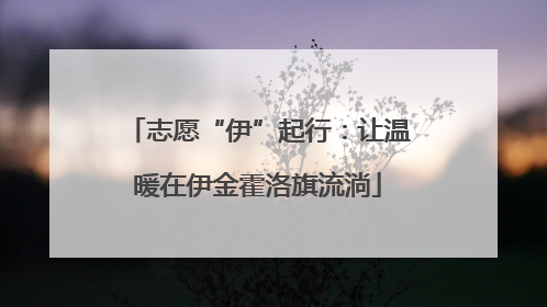 志愿“伊”起行：让温暖在伊金霍洛旗流淌