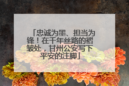 忠诚为墨、担当为锋！在千年丝路的褶皱处，甘州公安写下平安的注脚