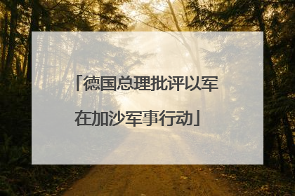 德国总理批评以军在加沙军事行动